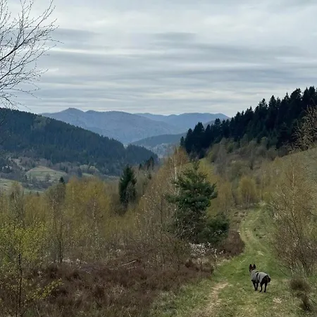 Aerie Eco Villa Skhidnytsia